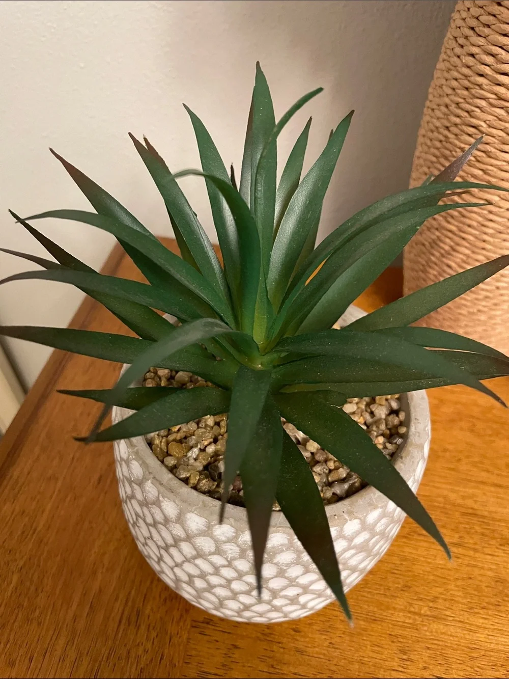 Artificial Faux Green Succulent Plant in Cement Pot Planter Excellent Condition